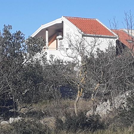 Villa Palfi Jezera Bagian luar foto