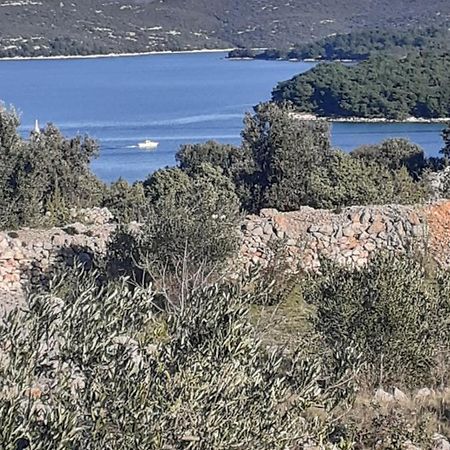 Villa Palfi Jezera Bagian luar foto