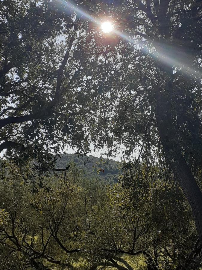 Villa Palfi Jezera Bagian luar foto